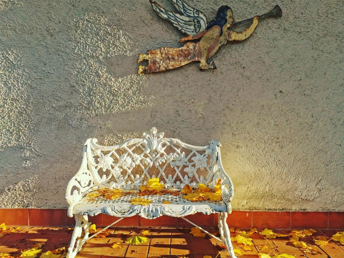 Bed & Breakfast Marinsky , Lucca